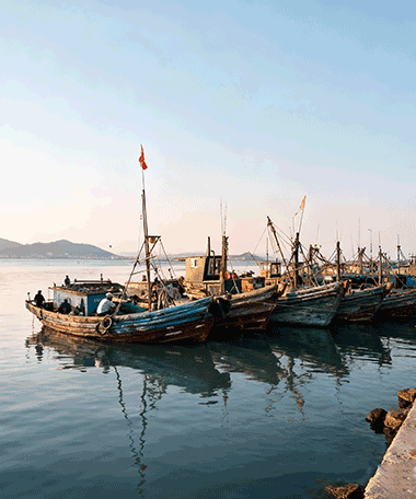 Installation Of ‘JANENOPE’ Diesel Fuel Purifiers On Ships